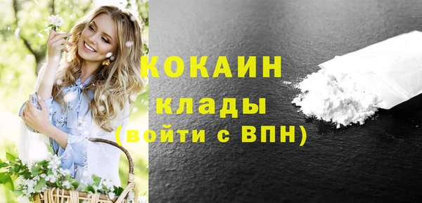винт Абаза