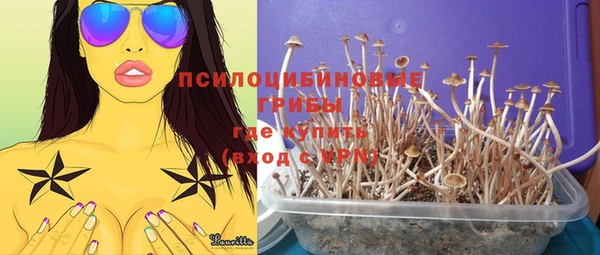 гашик Абдулино