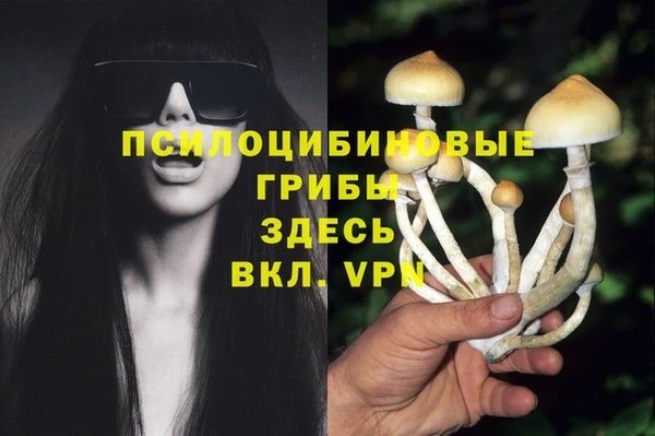 сатива Гусев