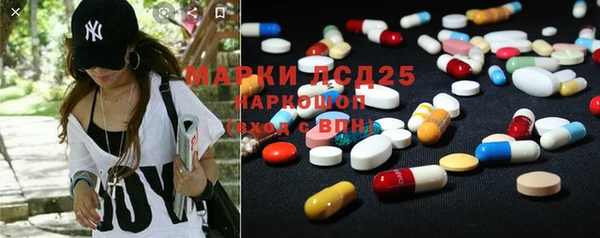 винт Абаза