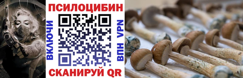 Галлюциногенные грибы ЛСД  Кингисепп 