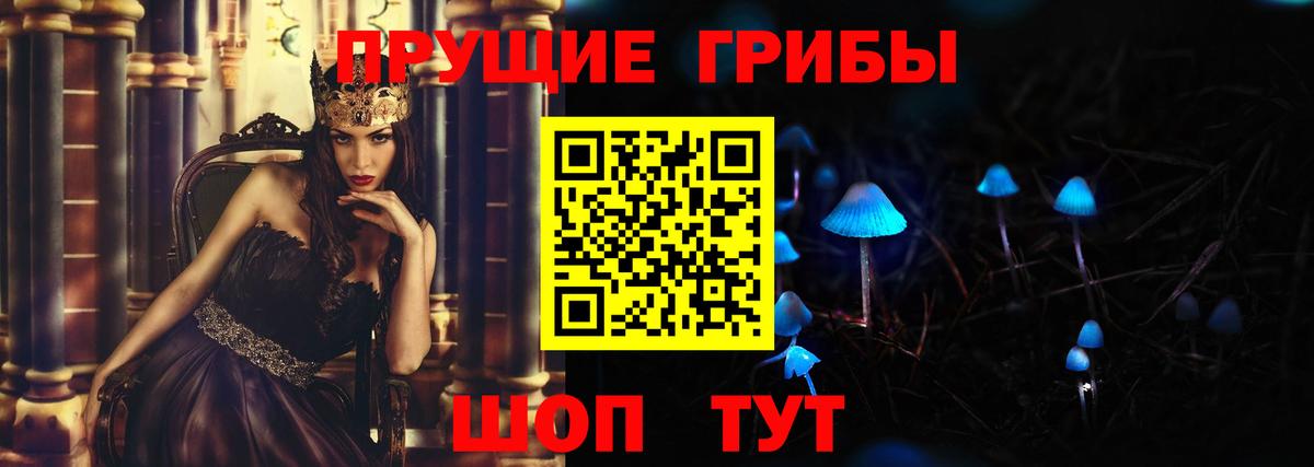 Кингисепп  Галлюциногенные грибы ЛСД  магазин продажи   Вход с VPN 