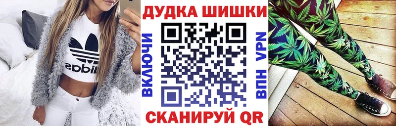 закладки  Кингисепп  Бошки марихуана сатива 