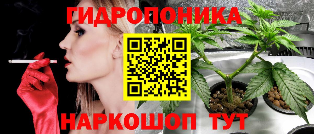 Кингисепп  Бошки Шишки тримм  Вход с VPN  Конопля семена  Конопля план 